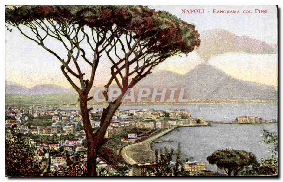CPA Italie Italia Napoli Panorama col Pino
