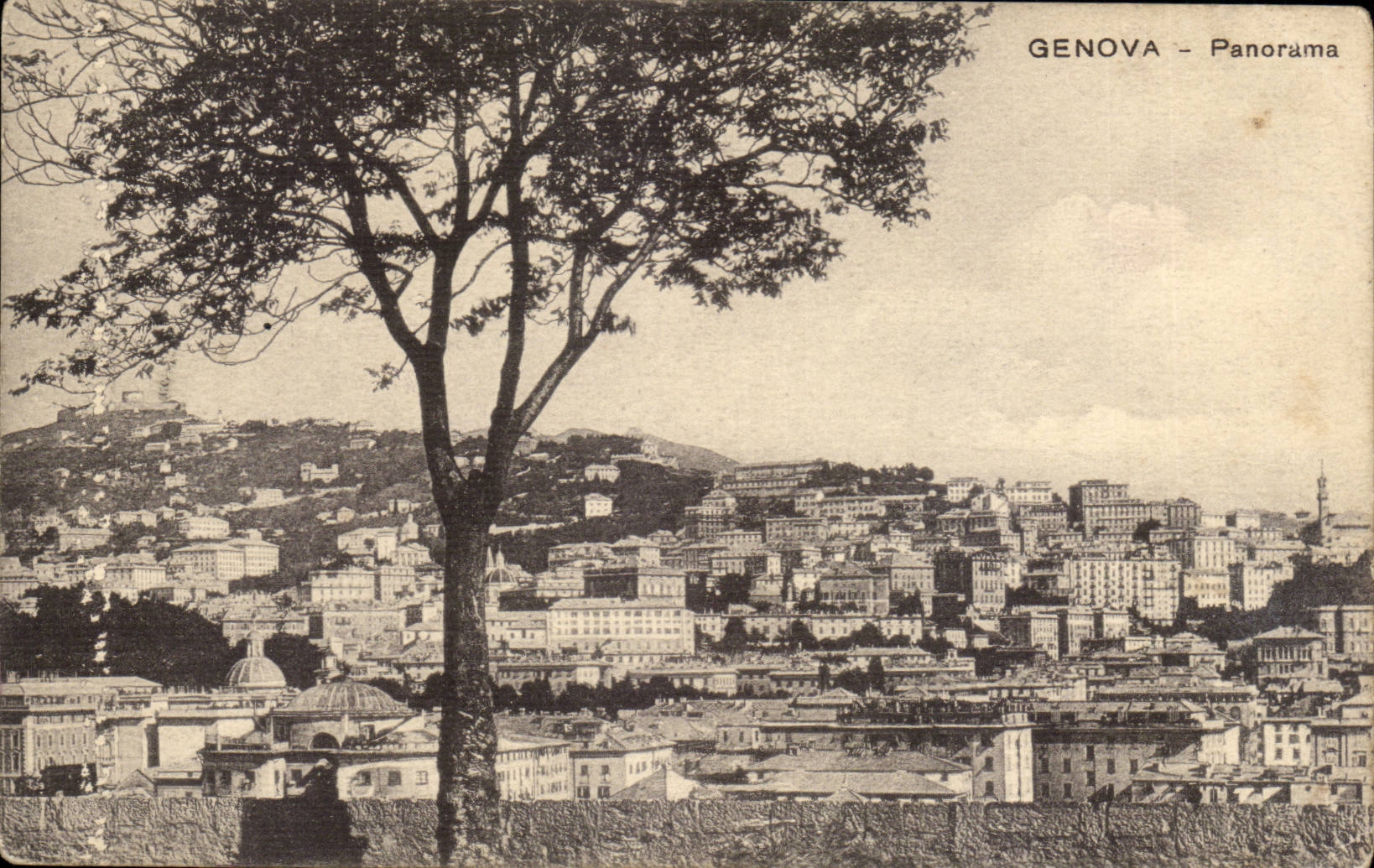 CPA Italie Italia Genova Panorama