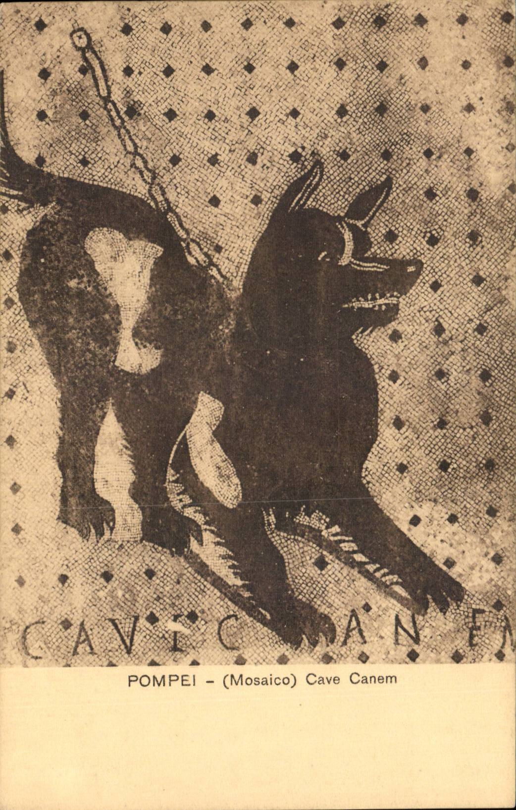 Italie Italia CPA Mosaico Cave Canem Chien dog