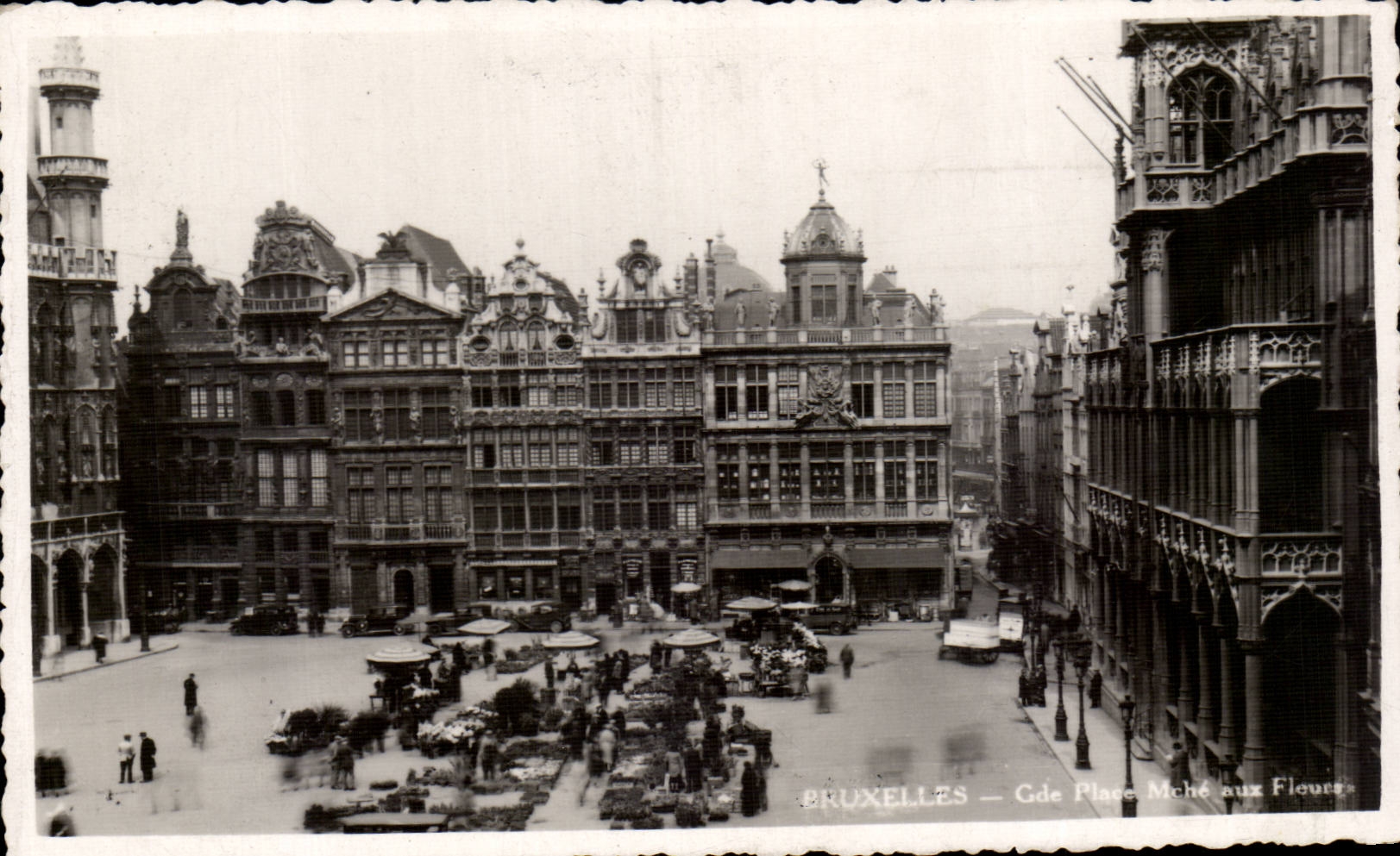 Belgie Belgique Bruxelles CPA Grande place marche aux fleurs