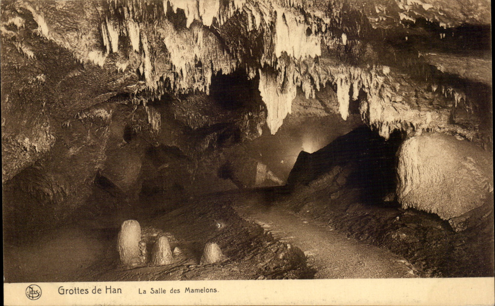 CPA Belgique Grottes de Han La salle des mamelons