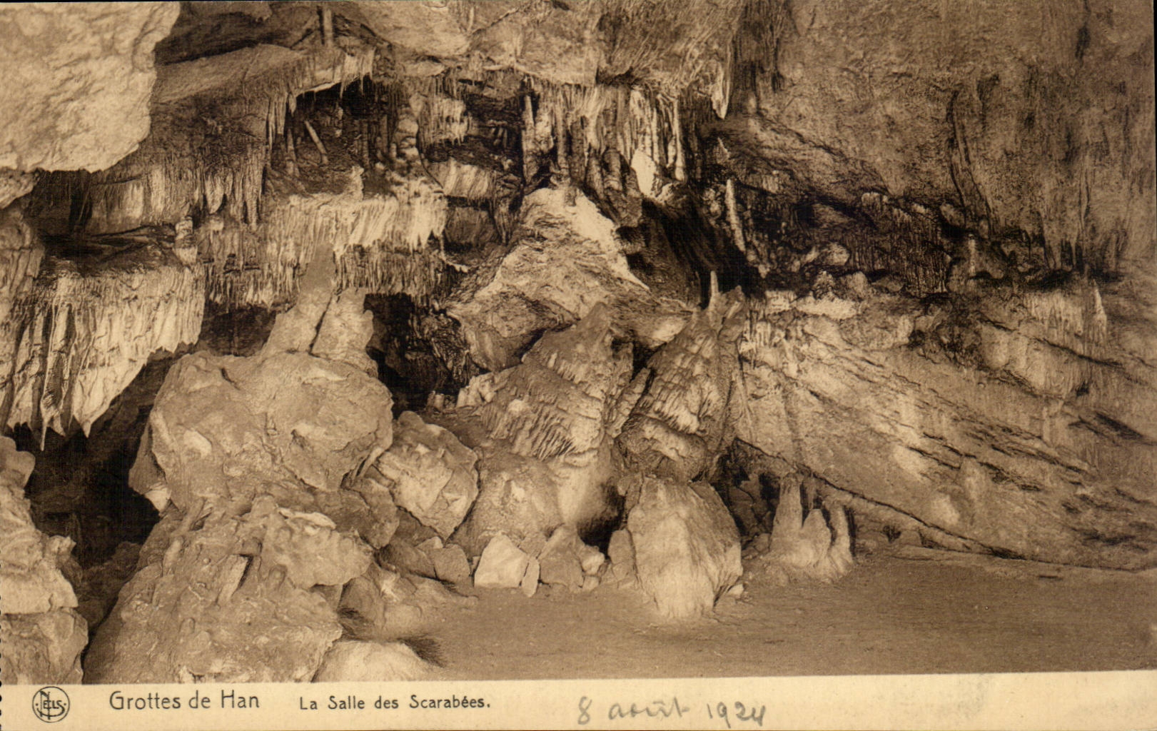 CPA Belgique Grottes de Han La salle des scarabees