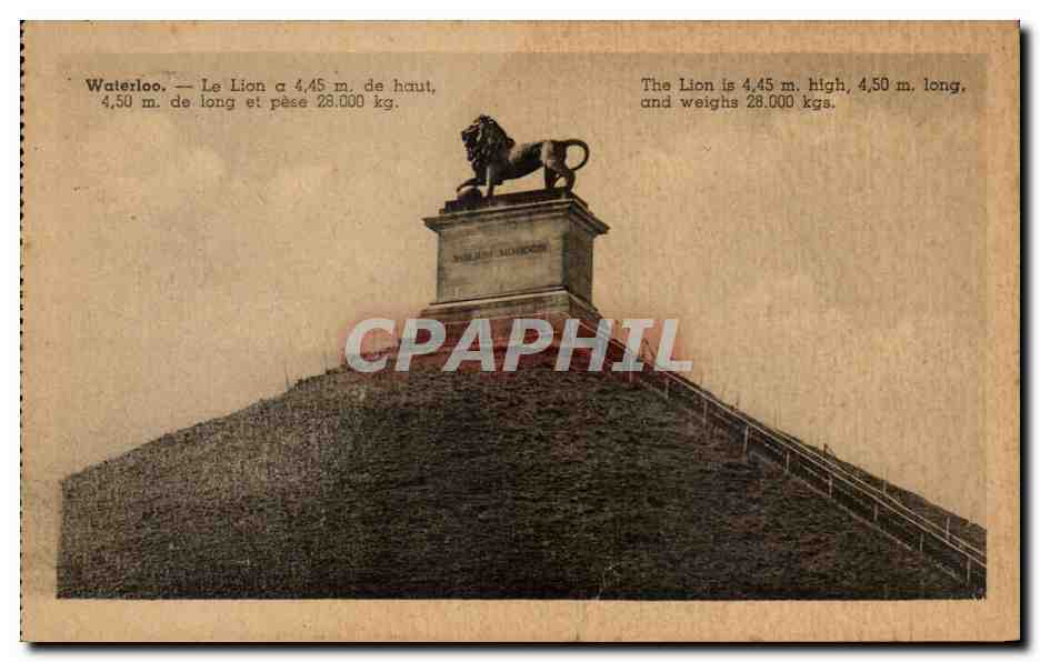 CPA Belgique Waterloo Le lion a 4 45 m de haut