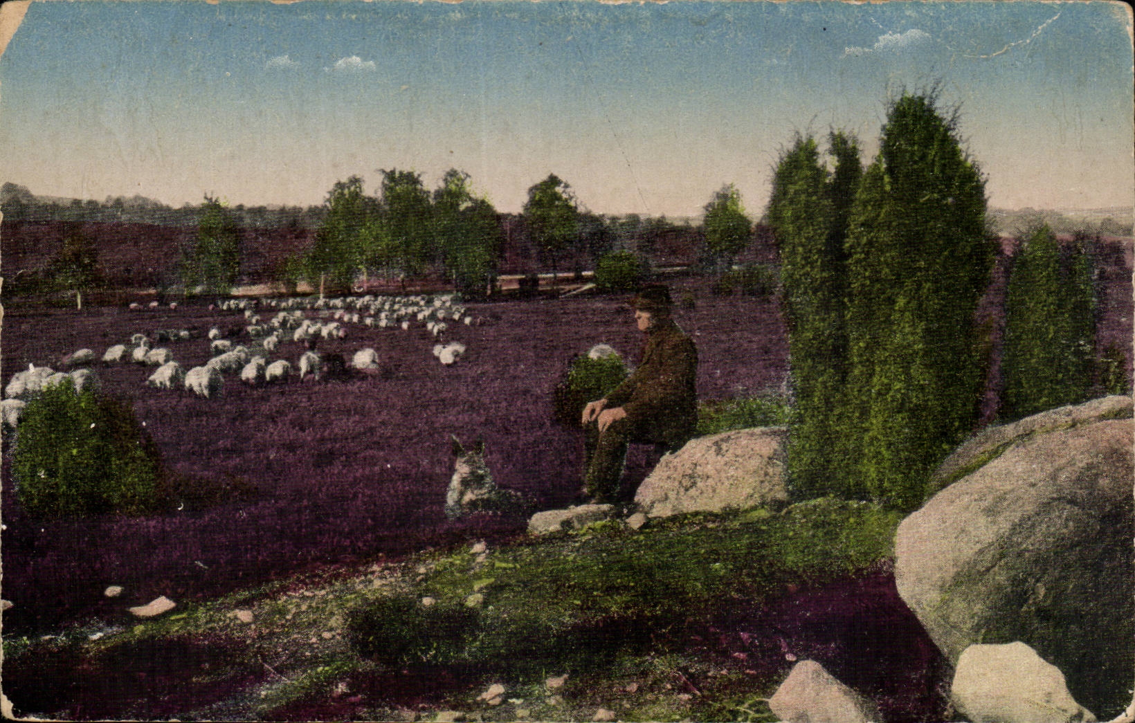 CPA Fantaisie Paysage a la campagne Berger et ses moutons