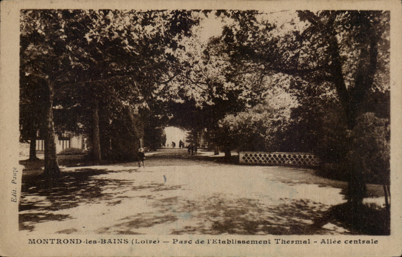 Montrond-les-Bains (Loire) — Parc de l'Établissement Thermal — Allée centrale — Édit. Pauré