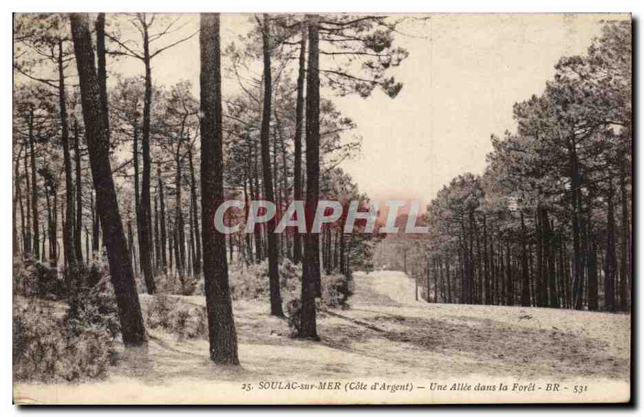 CPA Soulac sur mer Une allee dans la foret
