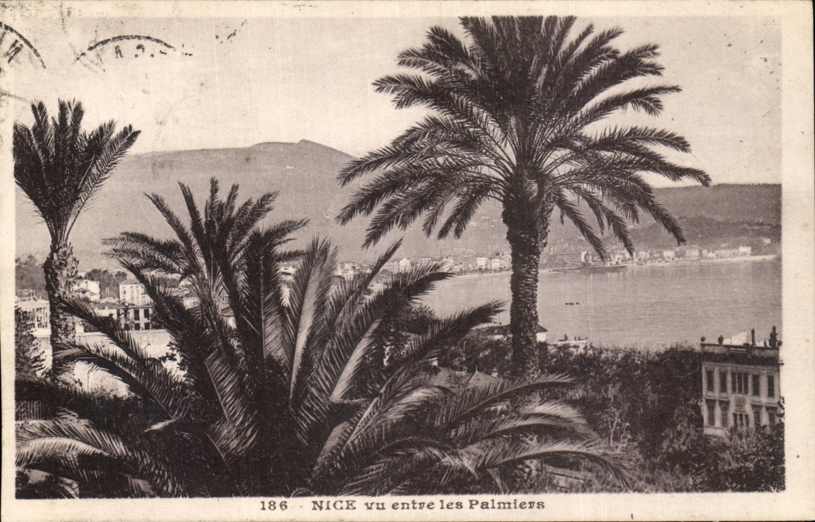Nice CPA Vue entre les palmiers