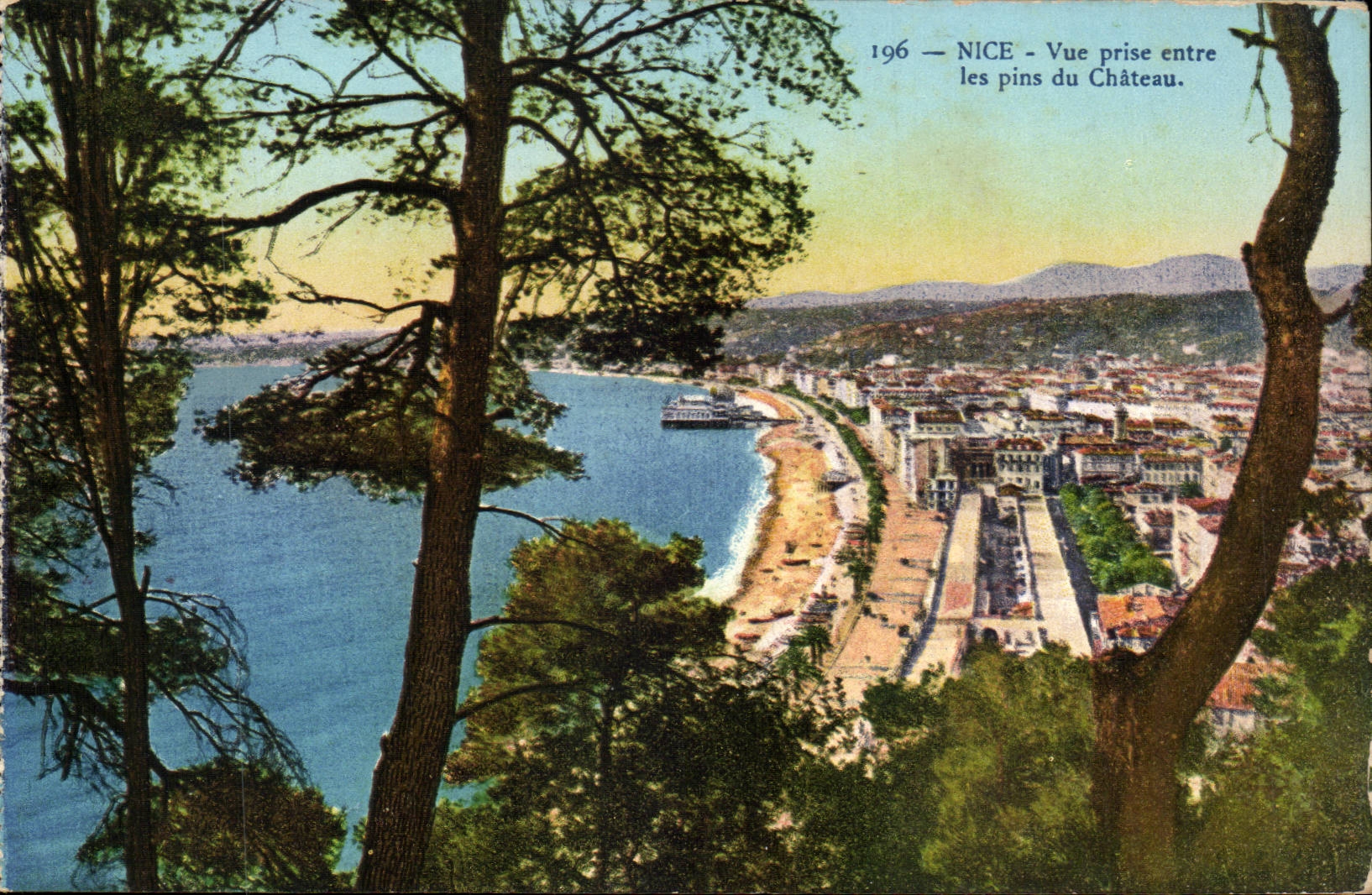 Nice CPA Vue prise entre les pins du chateau