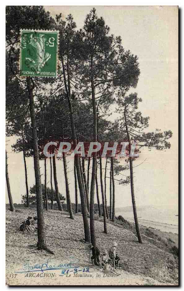 CPA Arcachon Le Moulleau Les dunes