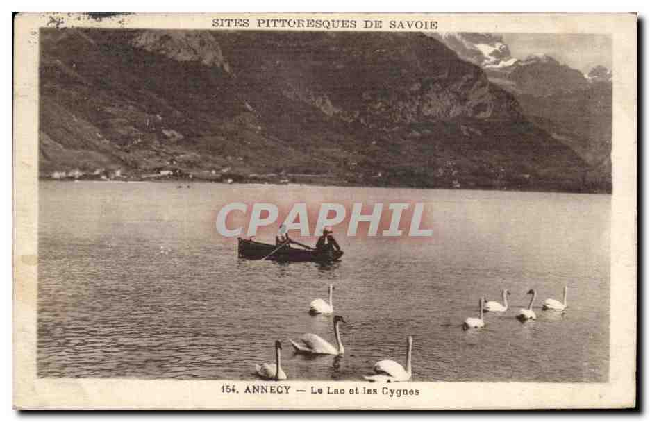 CPA Annecy Le lac et les cygnes