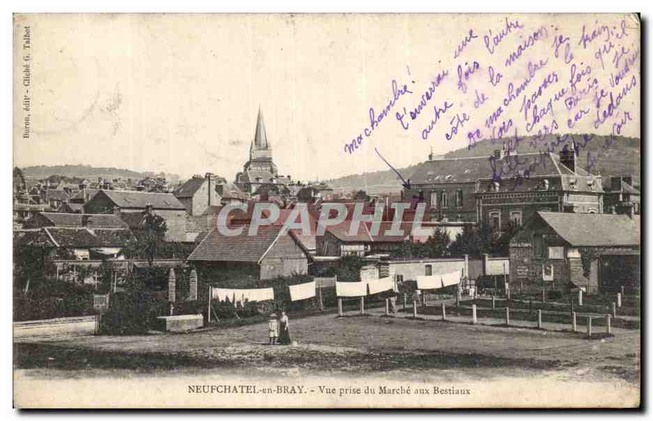 CPA Neufchatel en Bray Vue prise du marche aux bestiaux