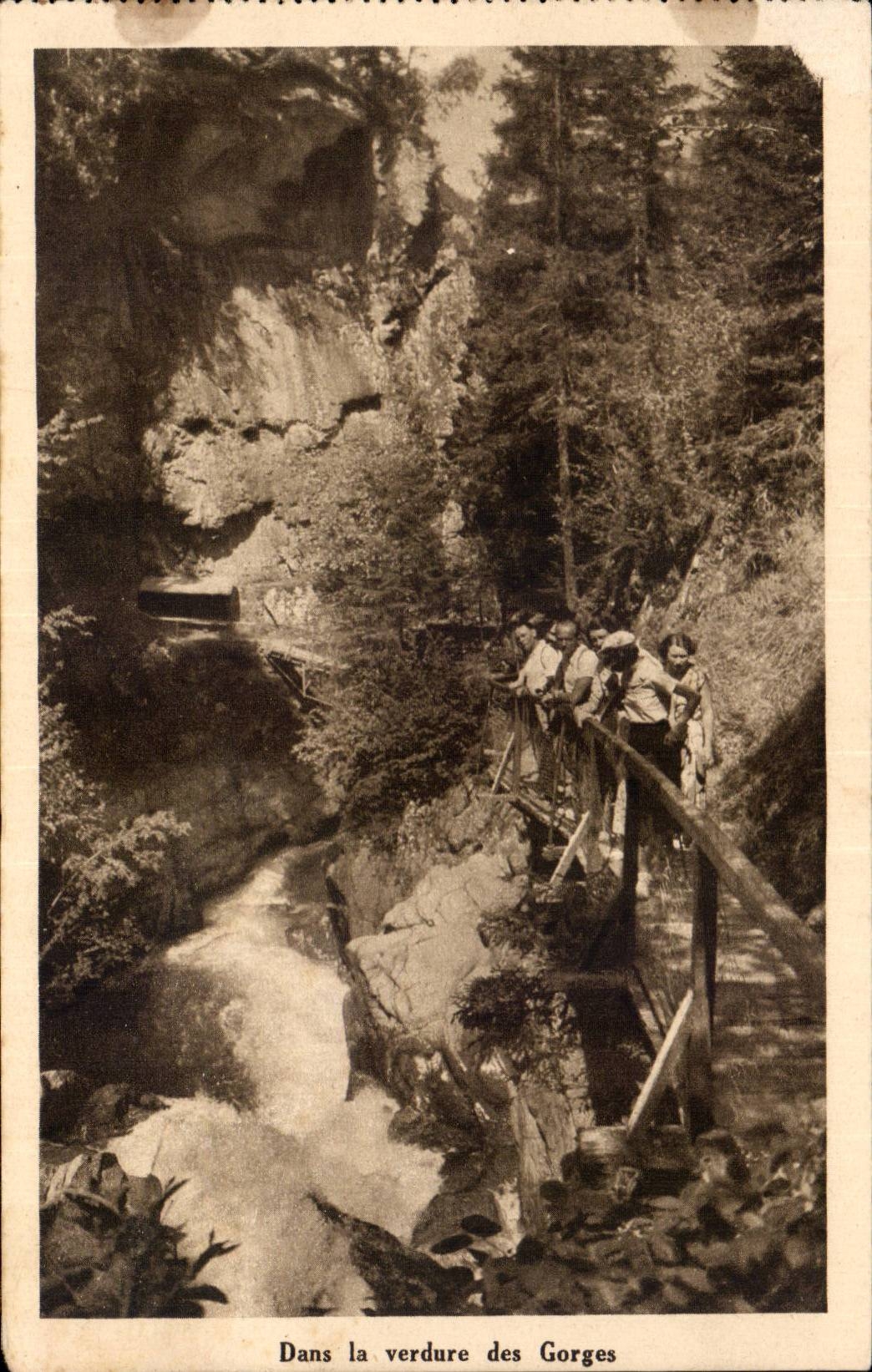 Gorges de la Diosaz — Dans la verdure des Gorges — Éditions d'Art
