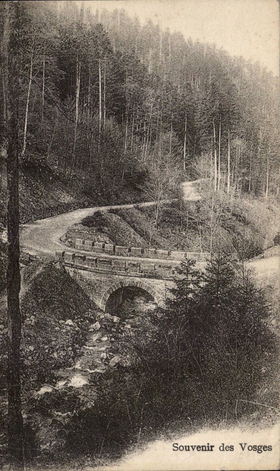 CPA Souvenir des Vosges