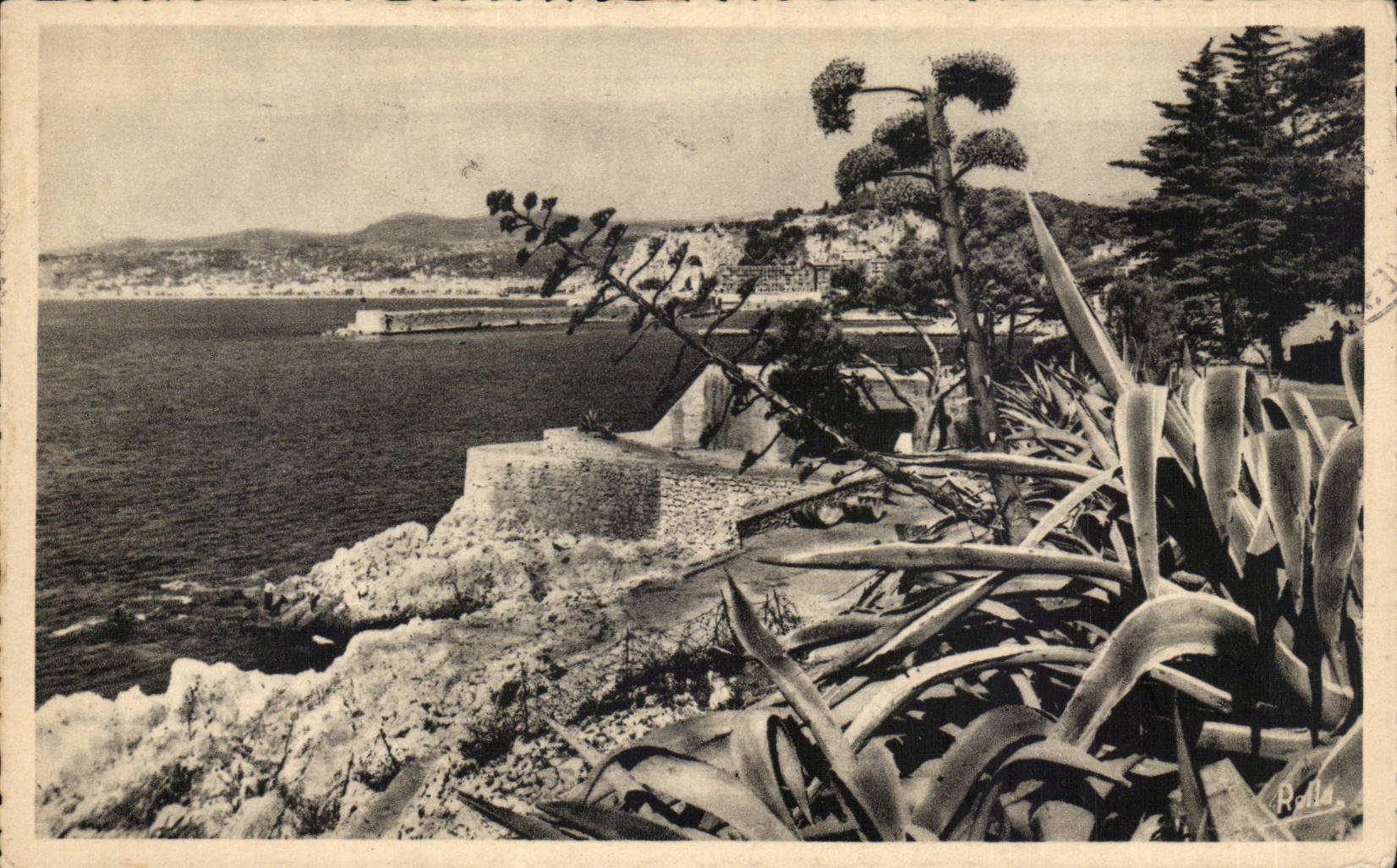 CPA Nice L'entree du port vue du jardin Theodore de Banville