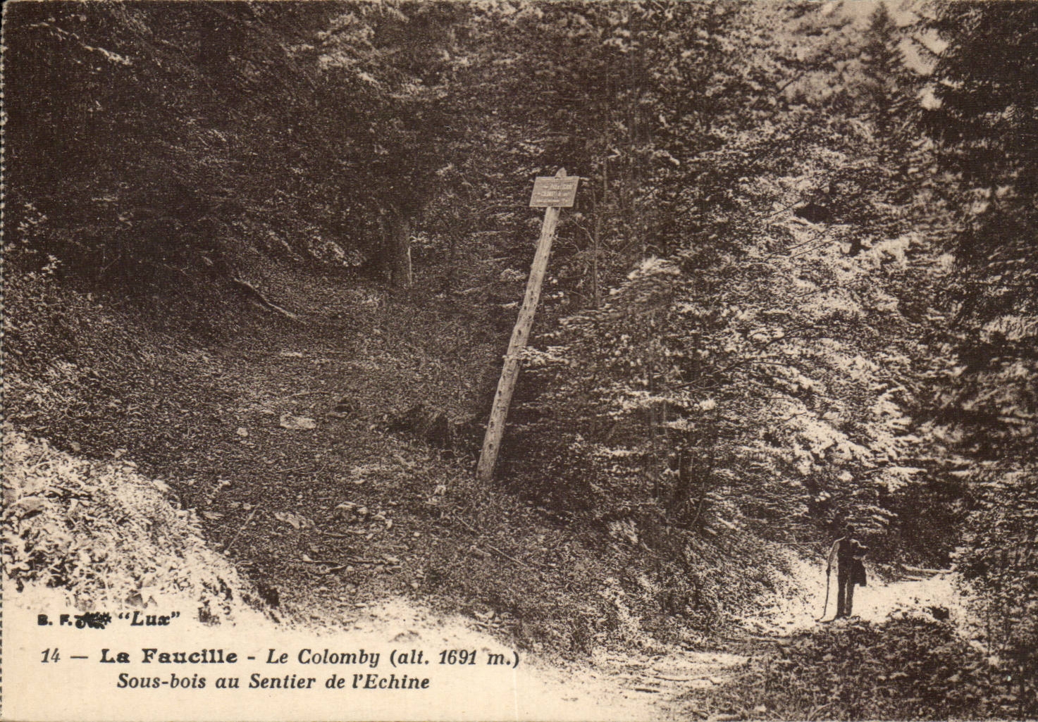 La Faucille - Le Colomby (alt. 1691 m.) — Sous-bois au Sentier de l'Echine — B.F.J. "Lux" n°14