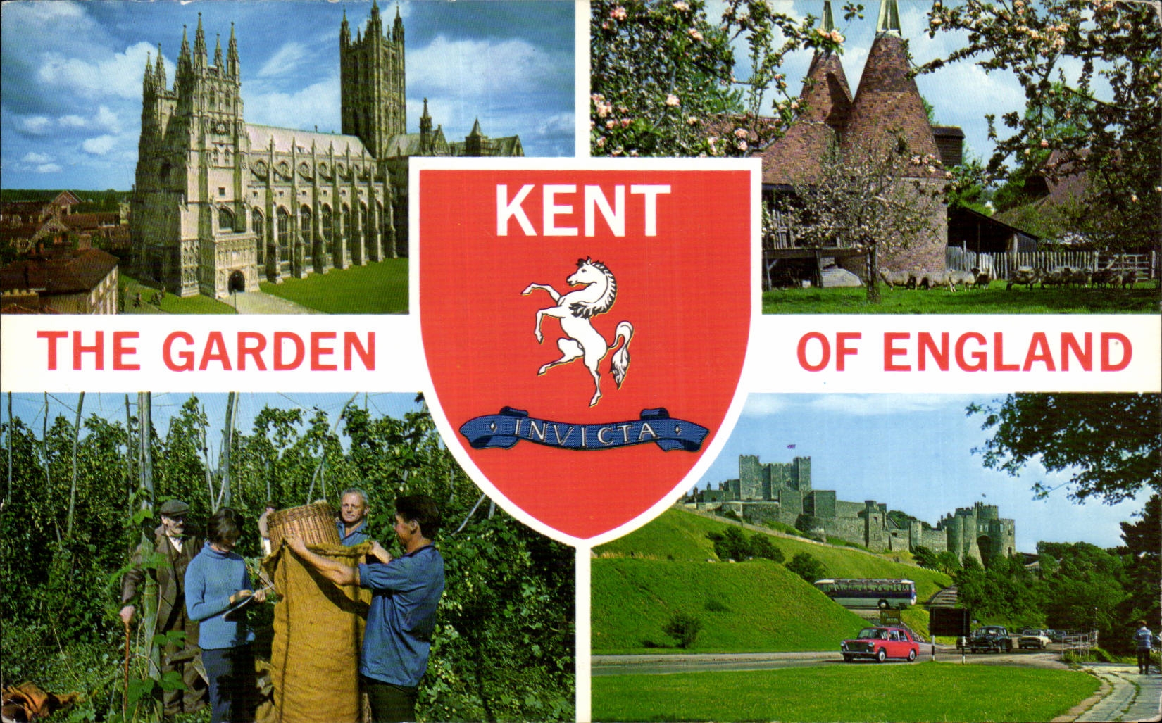 CPA Great Britain The garden of England Kent Cheval Horse