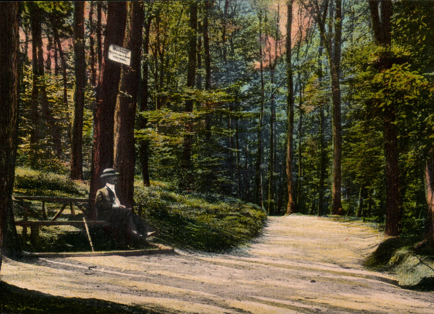 CPA Baden Baden Im Friesenwald auf dem Weg im Waldsee
