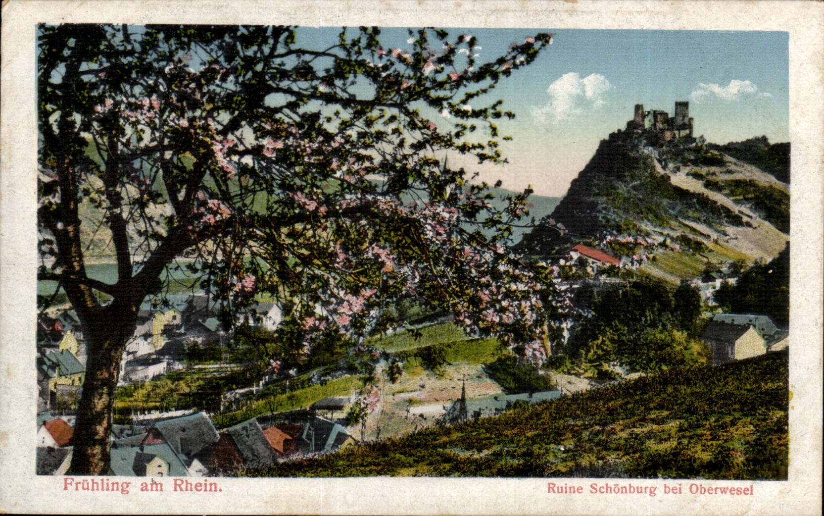 CPA Fruhling am Rhein Ruine Schonburg bei Oberwesel