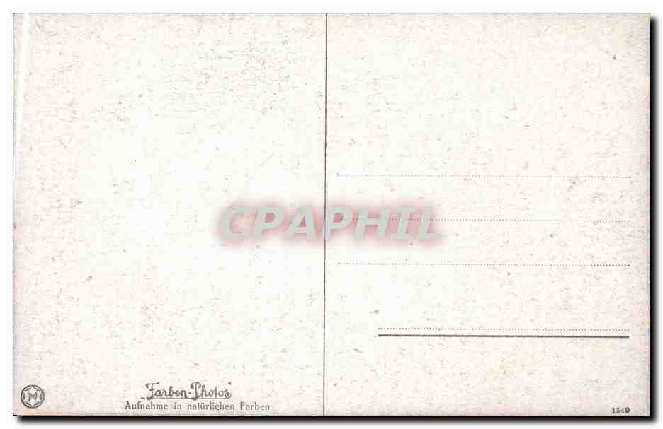 CPA Jardin en Allemagne (non localisee) — Rückseite