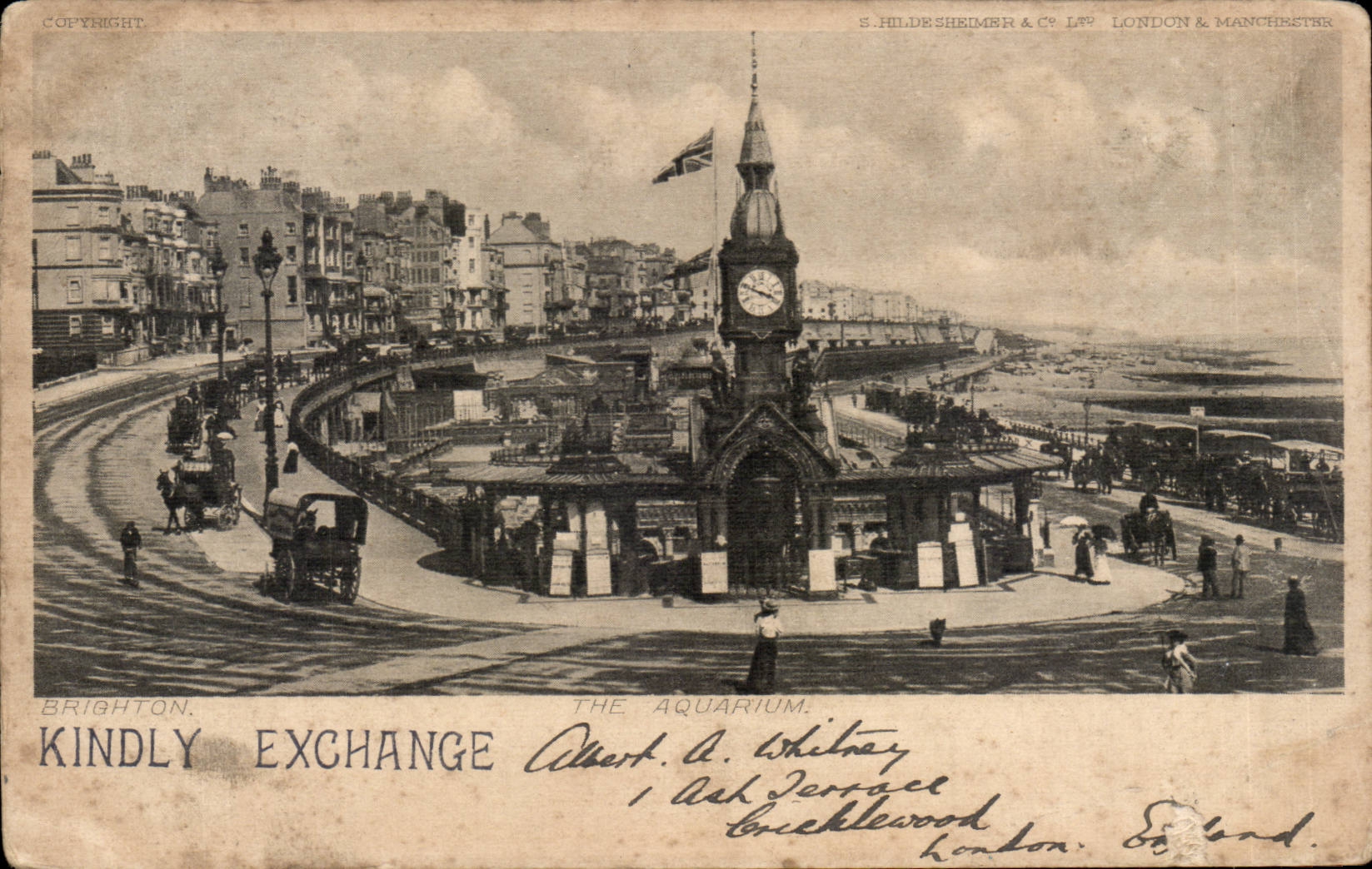 CPA Great Britain Brighton The aquarium