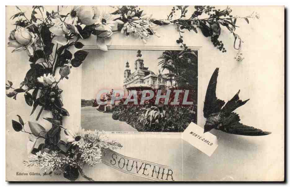 CPA Monaco Monte Carlo Souvenir Hirondelle