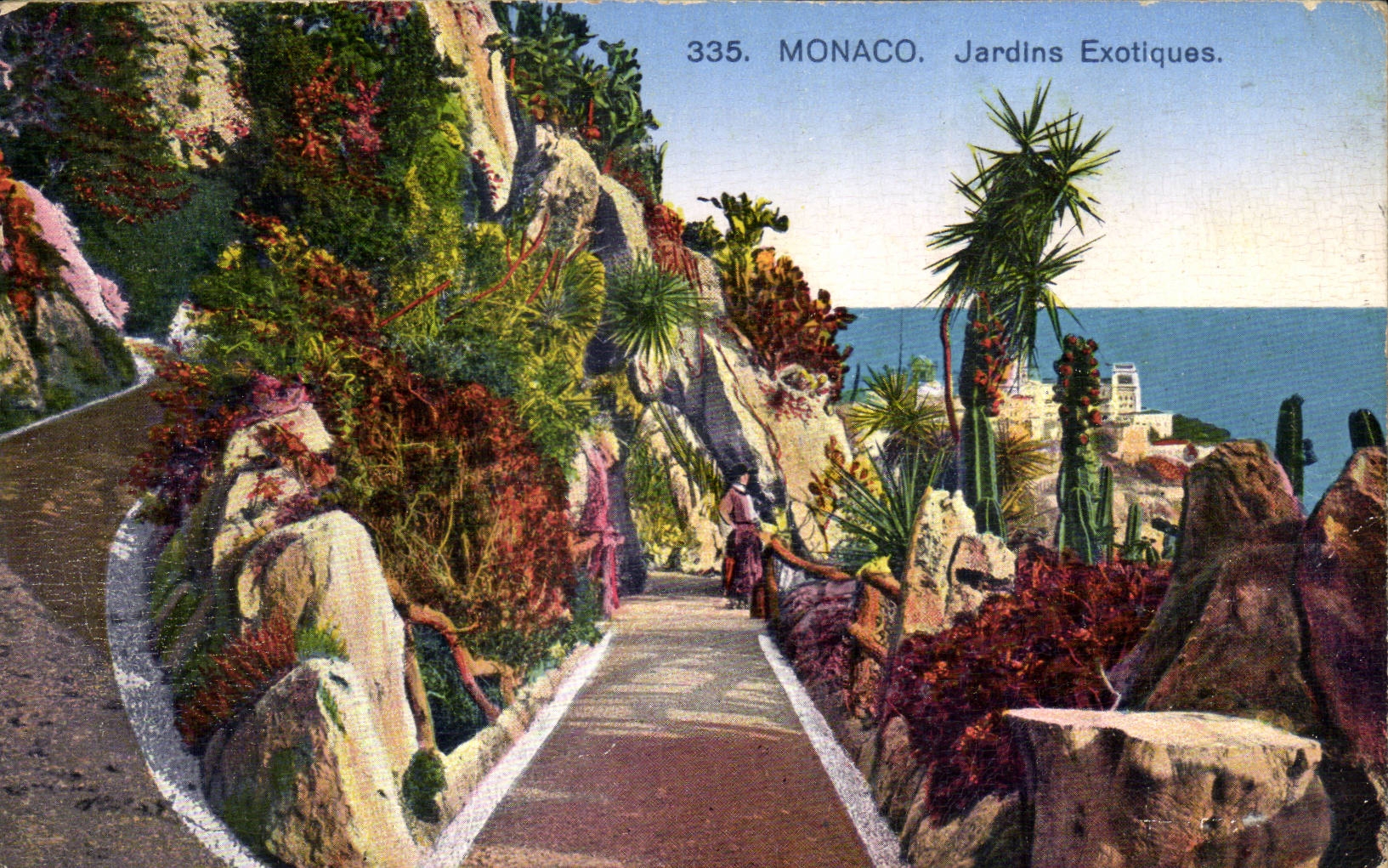 CPA Monaco Monte Carlo Jardins exotiques