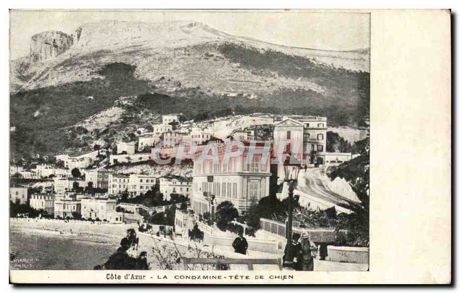 CPA Monaco Monte Carlo La Condamine Tete de chien