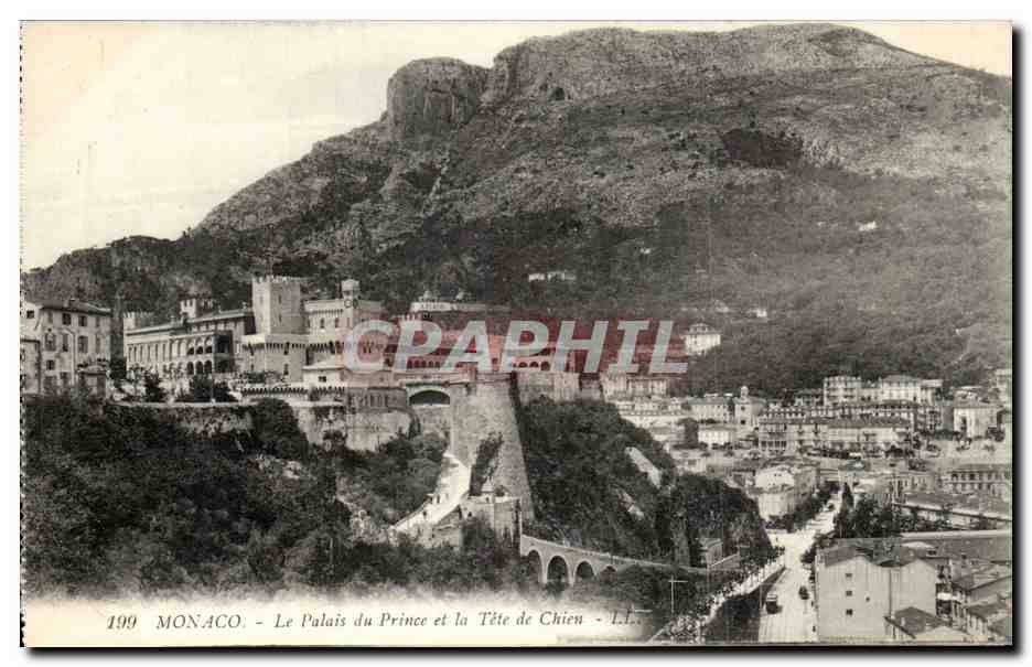 CPA Monaco Monte Carlo Le palais du prince et la tete de chien