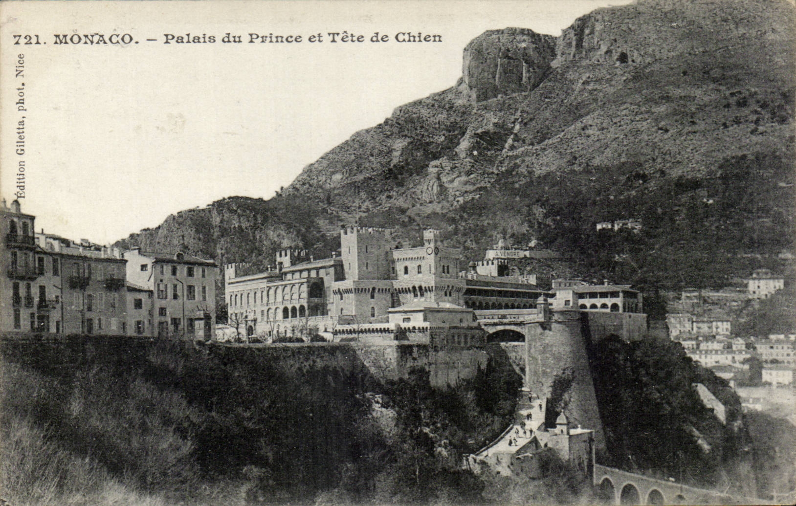 CPA Monaco Monte Carlo Palais du prince et tete de chien