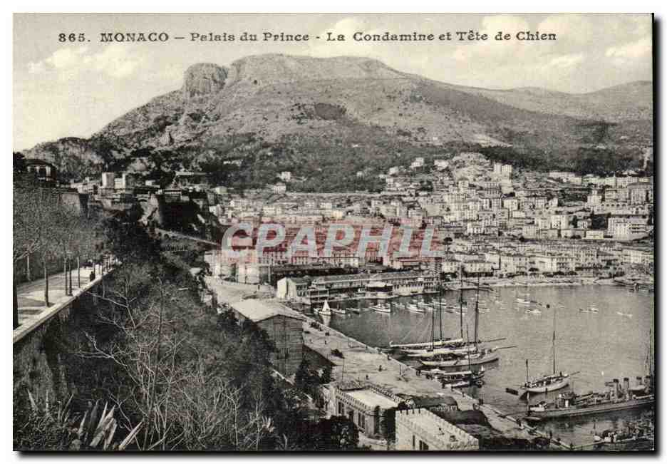 CPA Monaco Monte Carlo La Condamine et Tete de chien