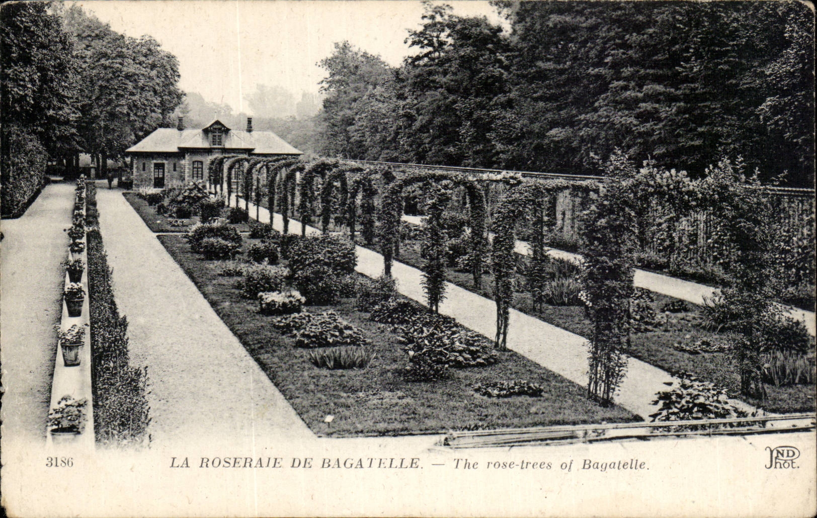 Paris - 16 - La Roseraie de Bagatelle - CPA 
