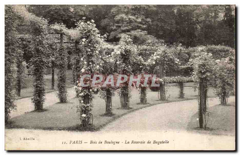 Paris - 16 - Bois de Boulogne - Roseraie de Bagatelle - CPA 