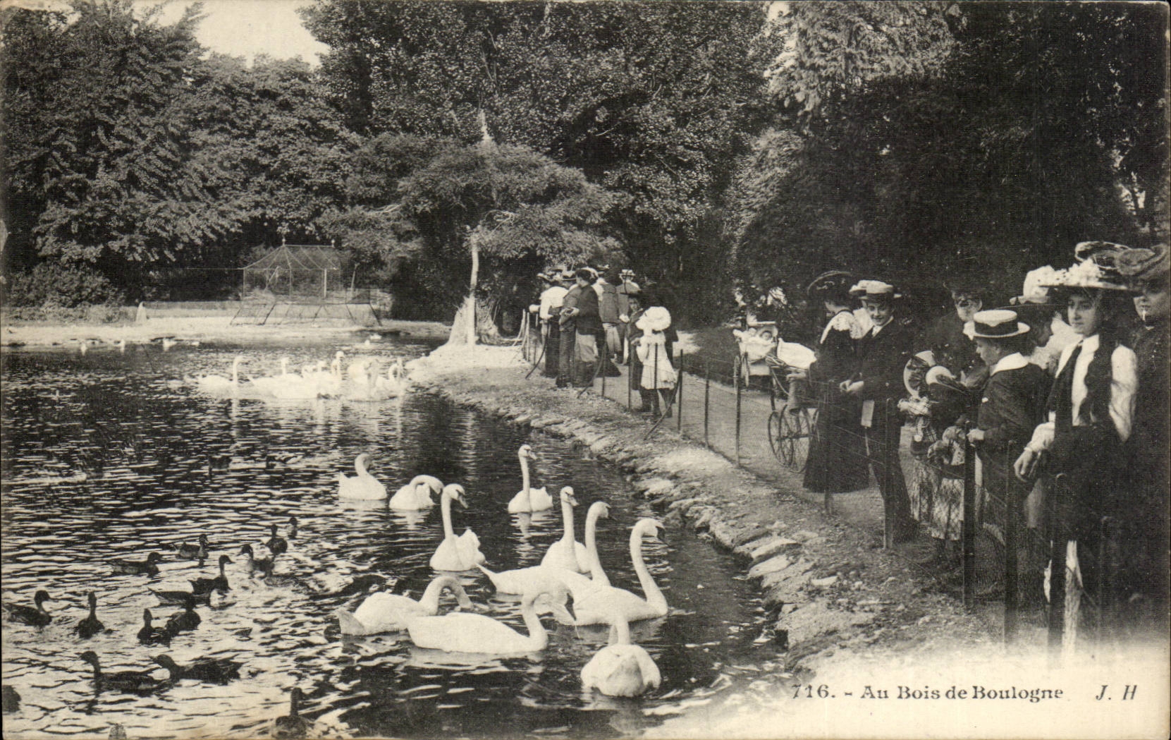 Paris - 16 - Bois de Boulogne - Cygnes - enfant - CPA 