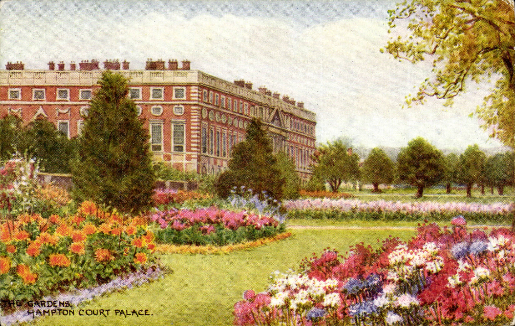 Angleterre - England - Henry VII Garden - Hampton Court Palace - CPA 