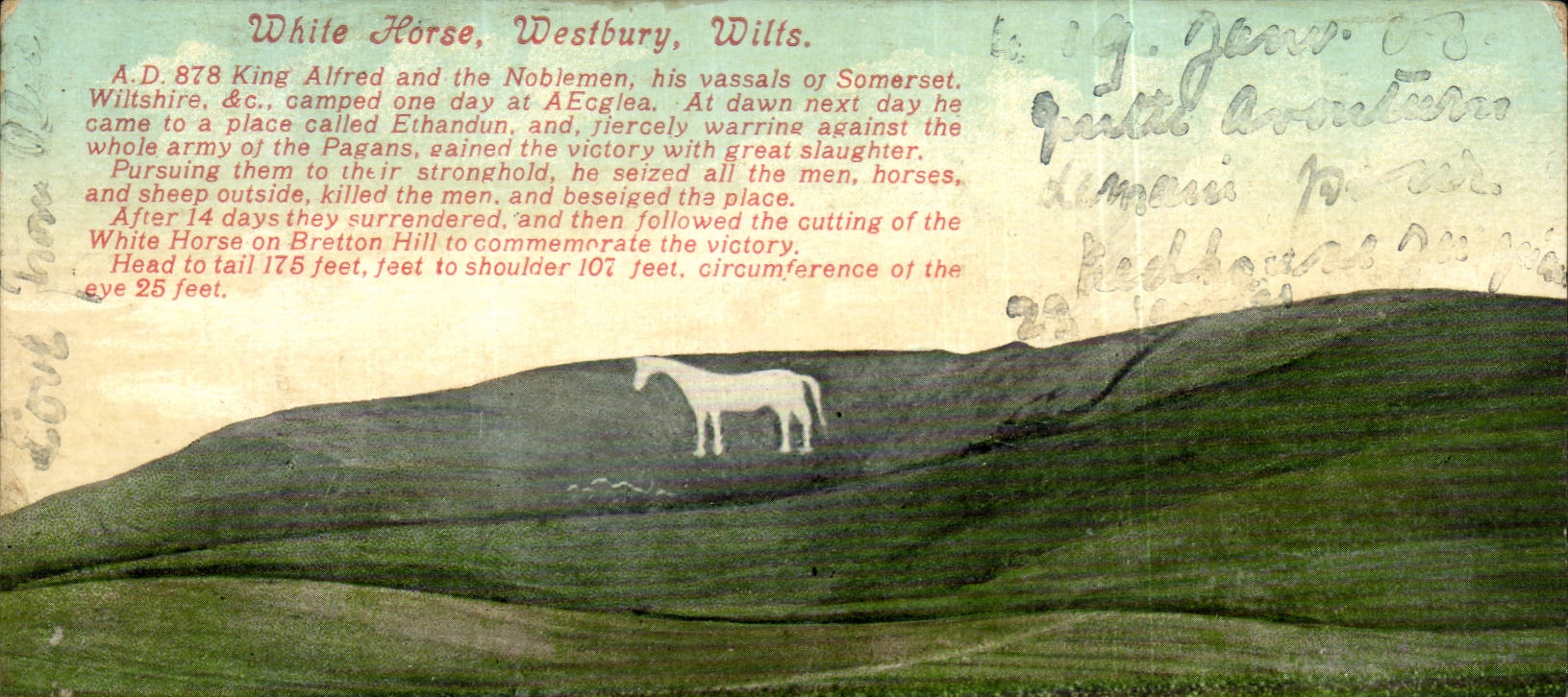 Angleterre - England - White Horse - Westbury Wilts- CPA 