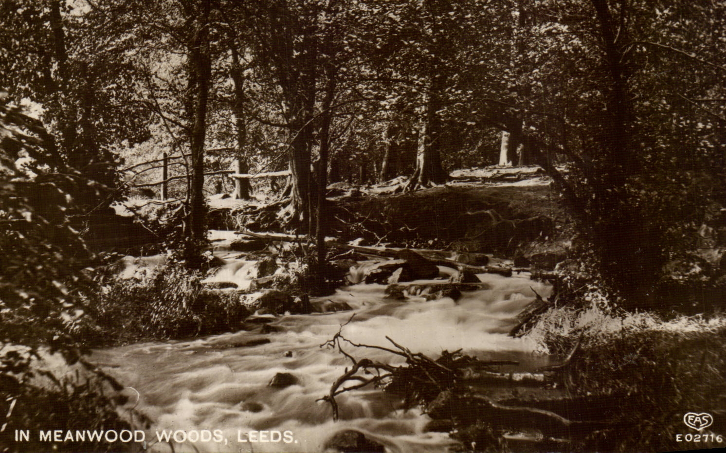 Angleterre - England - Leeds - Meanwood Woods - CPA 