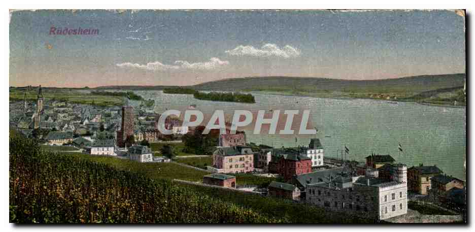 Allemagne - Deutschland - Ruedesheim - CPA 