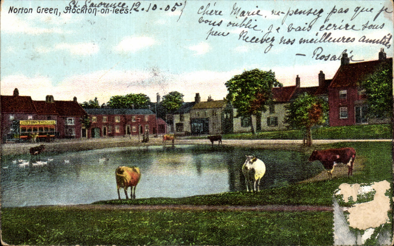 Angleterre - England - Isle of Wight - Norton Green - Stockton on lees - CPA 