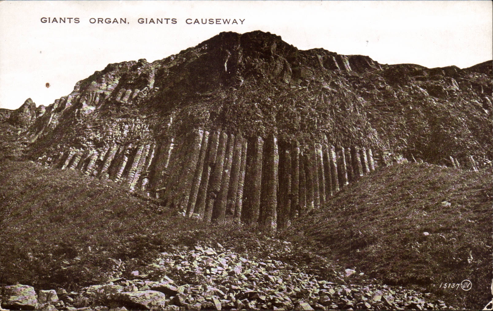 Ireland - Dunluce Castle - Giants Causeway - Giants Organ - Orgue - CPA 