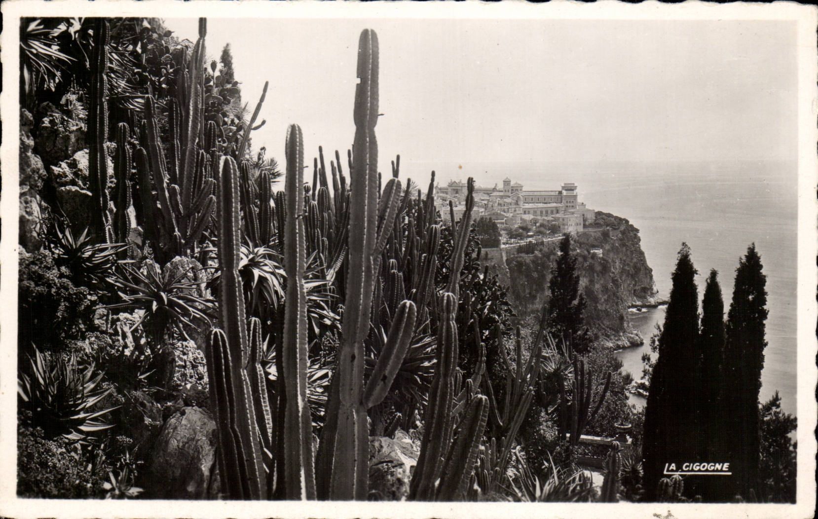 Monaco - Les Jardins Exotiques - Vue sur le Rocher de Monaco - CPA 