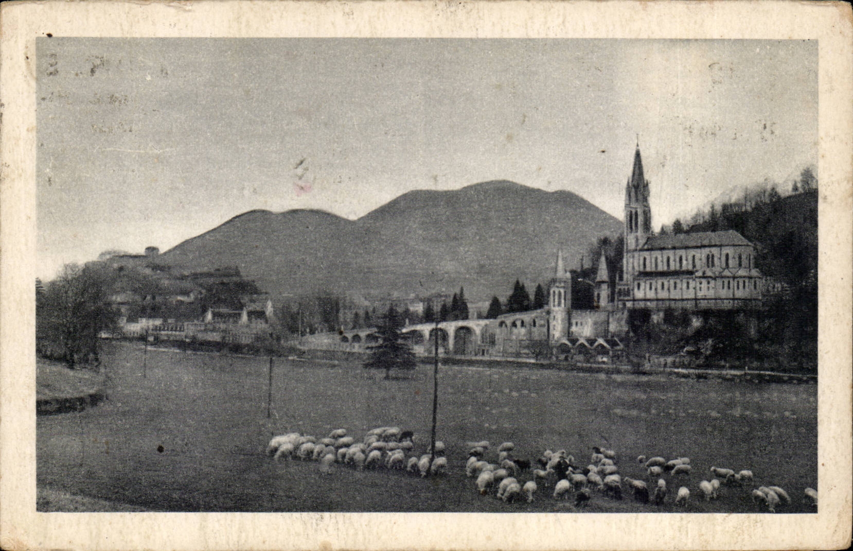 Lourdes - La Basilique - Pic du Jer - mouton - sheep - CPA 