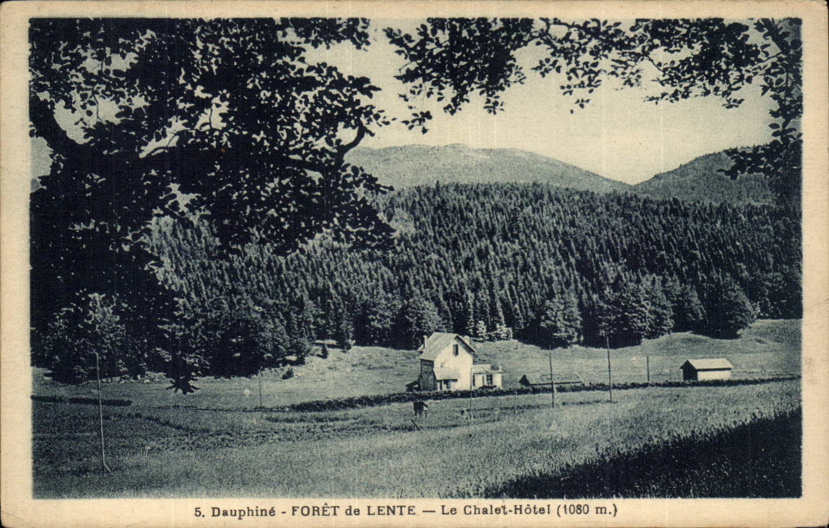 Dauphiné - FORÊT de LENTE — Le Chalet-Hôtel (1080 m.)