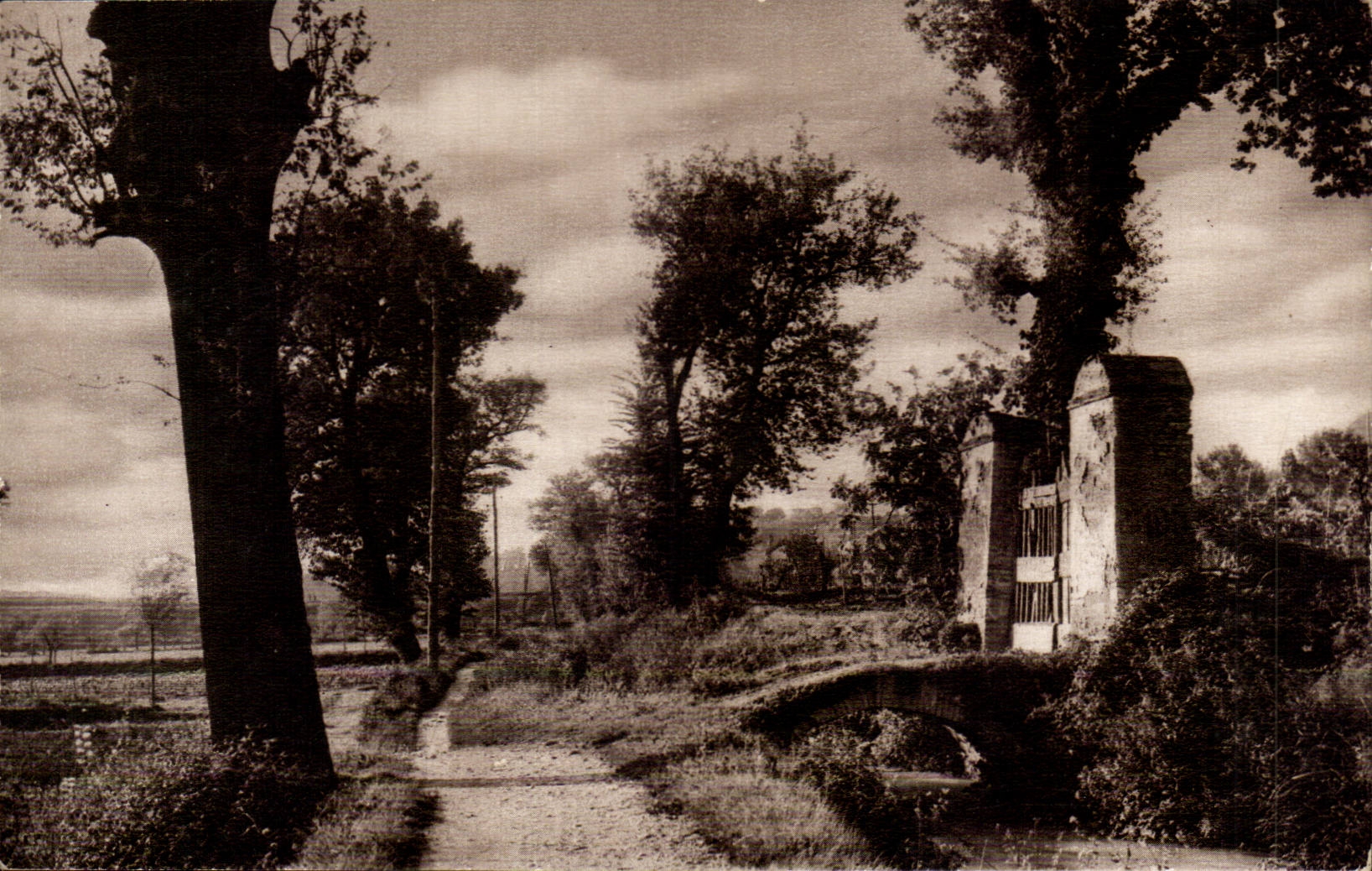 CPA paysage de campagne (non localisee)