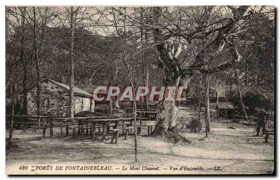 Wald von Fontainebleau — Mont Chauvet — Gesamtaufnahme — n°428