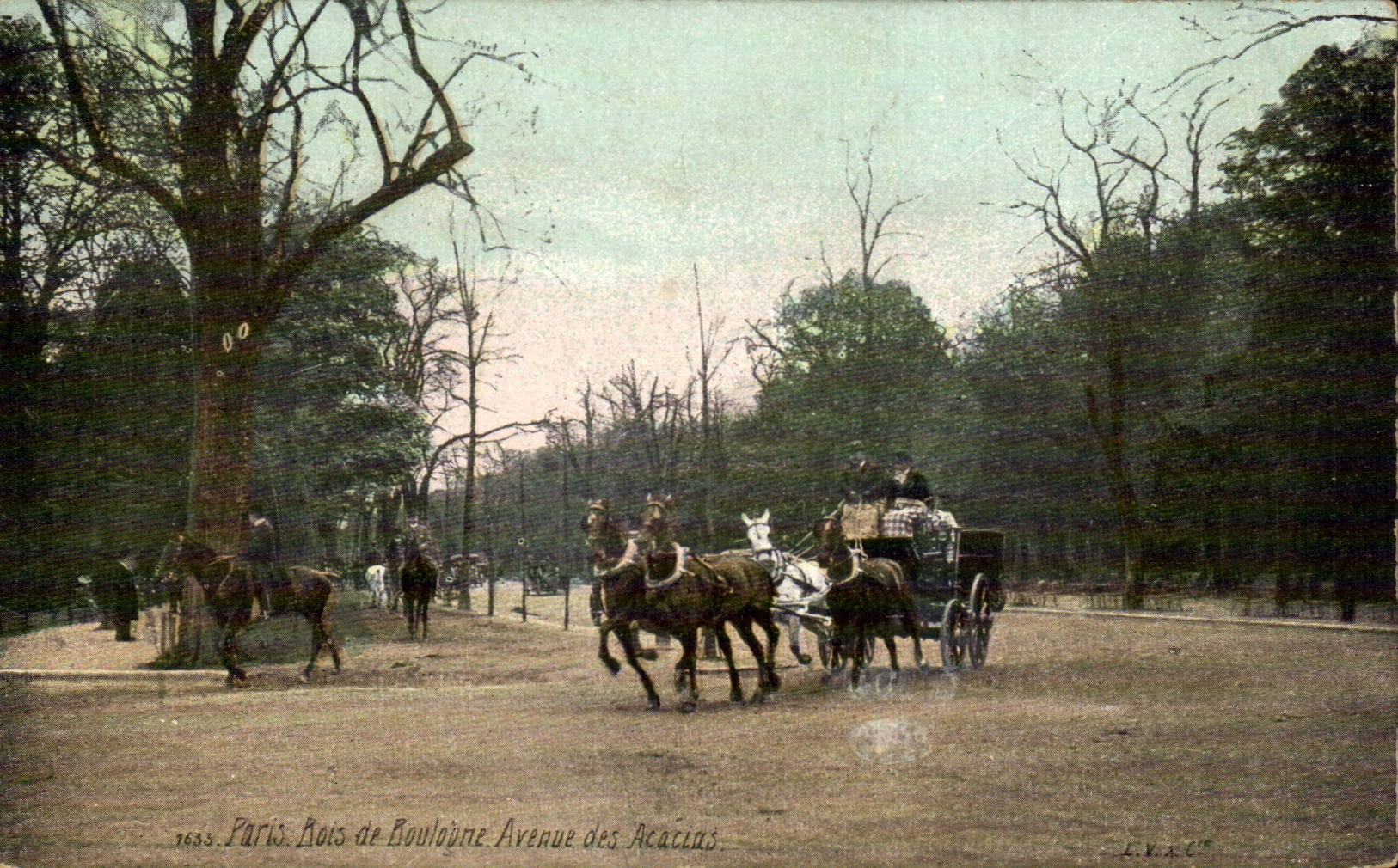CPA Paris Bois de Boulogne Avenue des acacias