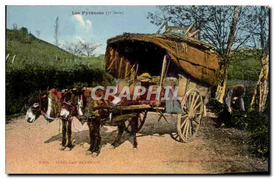 CPA Les Pyrenees Attelage bearnais Ane Donkey mule TOP