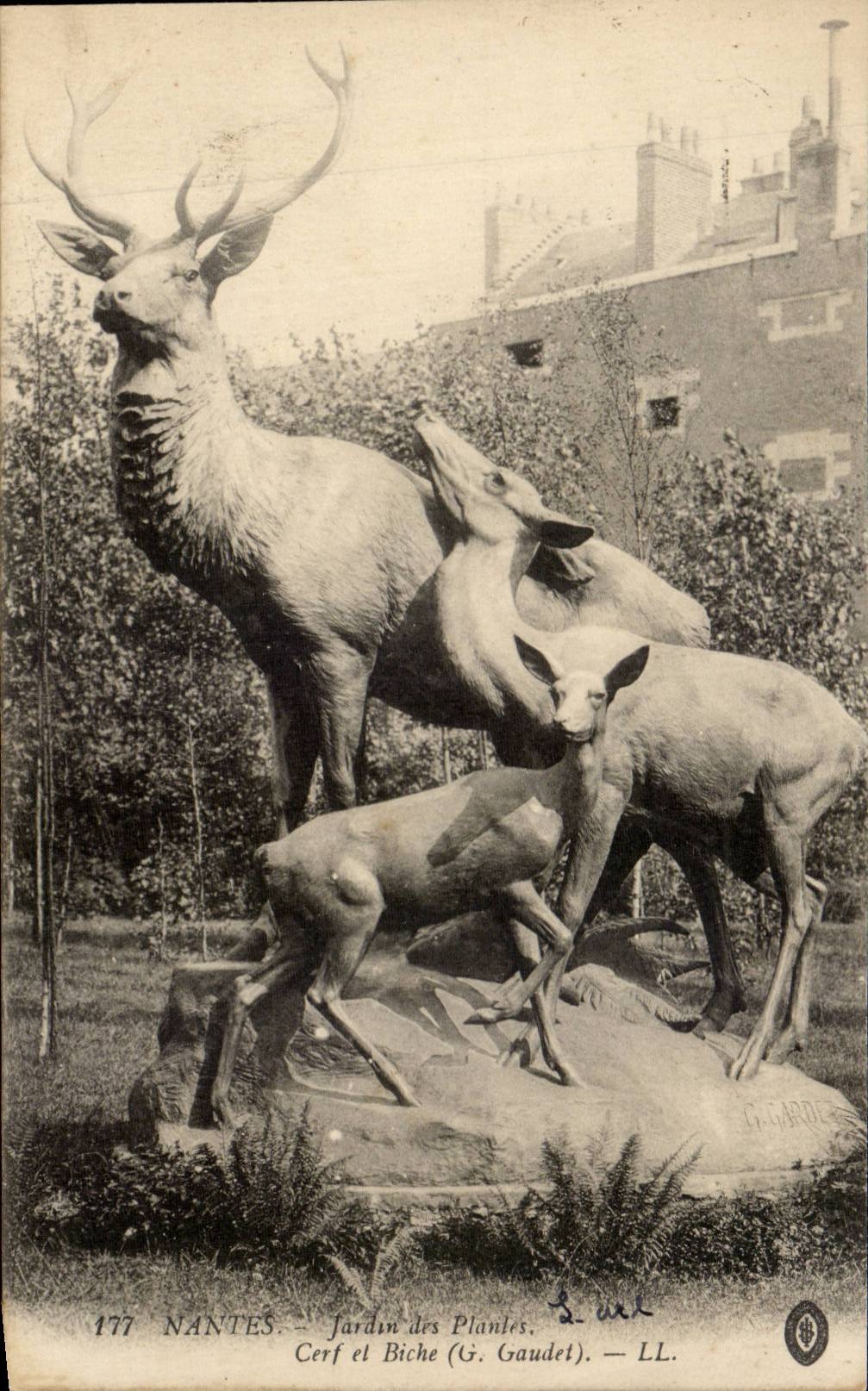 CPA Nantes Jardin des plantes Cerf et biche
