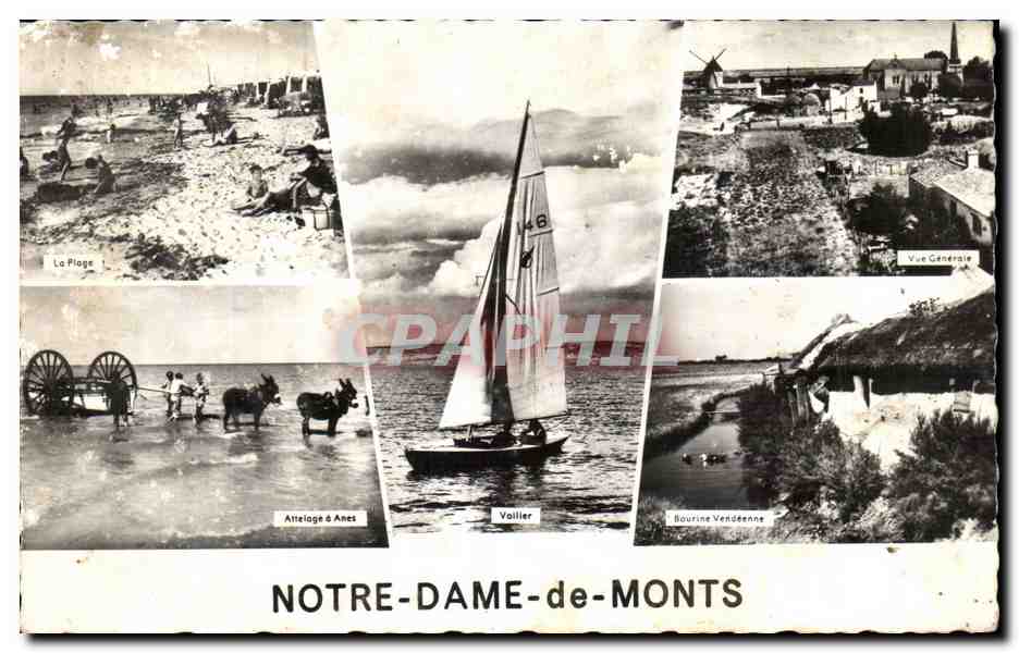 Notre-Dame-de-Monts — vue générale, plage, voilier, attelage d'ânes, bourrine vendéenne — Éditions Gaby, Nantes