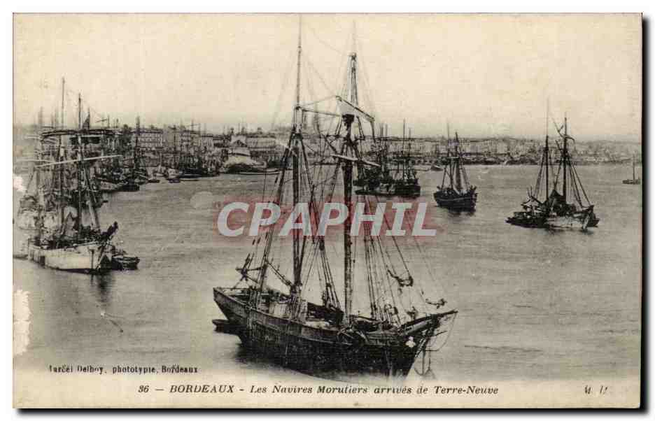 CPA Bordeaux Les navires morutiers arrives a Terre Neuve