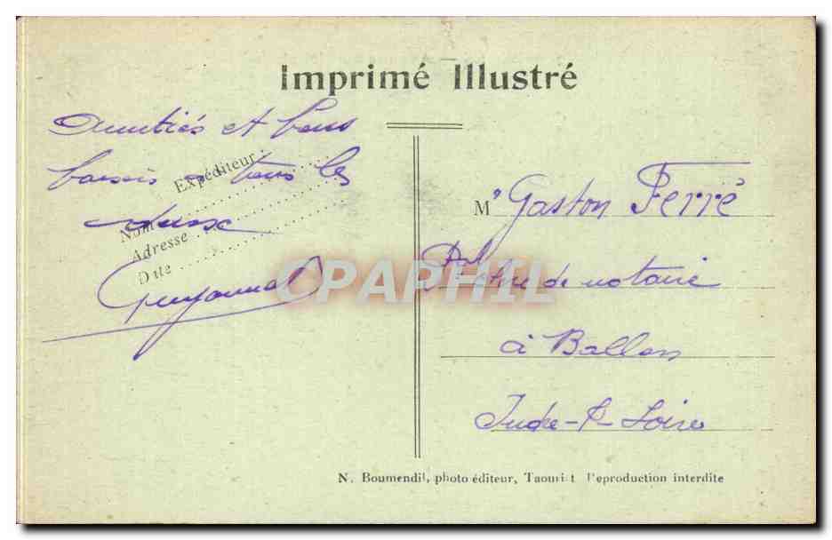 CPA Marco meknes Avenue du Mellah Ane donkey — Rückseite